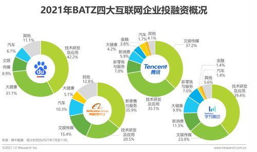 2021年中國網絡廣告年度洞察報告 網絡技術服務企業案例篇